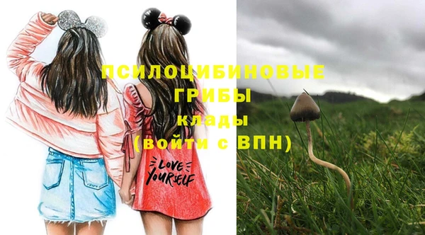 метадон Липки