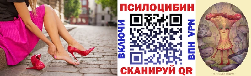 Псилоцибиновые грибы Psilocybine cubensis  Купить где  Касли 